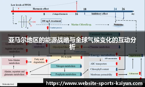 关键词4